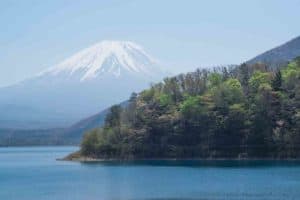 wooded headland lake motosu mt fuji